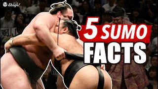 The Lie the Sumo World has Taught Japanese People | 5 Facts You Didn’t Know about Sumo
