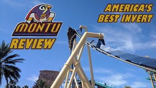 Montu Review, Busch Gardens Tampa B\u0026M Inverted Coaster | America's Best Invert!