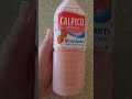 amazing calpico strawberry drink shorts