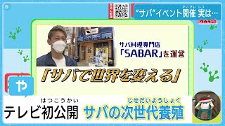 サバで世界を変える！　初公開の次世代養殖とは！？