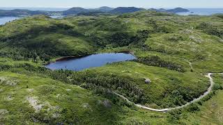 DJI 20240720 Burin   Frog Pond