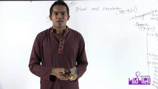 02. Function of Blood | রক্তের কাজ | OnnoRokom Pathshala