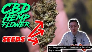This Flower Ain't It... Can This Company Redeem Themselves? | CBD Hemp Flower Review