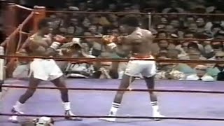 WOW!! WHAT A KNOCKOUT - Sugar Ray Leonard vs Floyd Mayweather Sr, Full HD Highlights