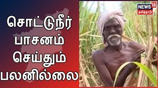 5000 ஏக்கரில் பயிரிடப்பட்ட கரும்பு கருகிய அவலம் | சொட்டுநீர் பாசனம் செய்தும் பலனில்லை