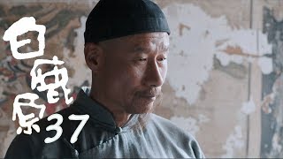 白鹿原 |  White Deer 37【TV版】（張嘉譯、秦海璐、何冰等主演）