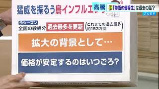 「物価の優等生」は過去の話？　卵の価格が高騰中