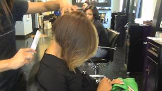 Oyade Salon Advanced Coloration Color Class