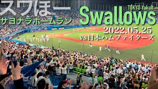 ⚾️【4K】神宮球場のホームランの見え方✨ヤクルトスワローズ山崎選手サヨナラ3ランホームラン