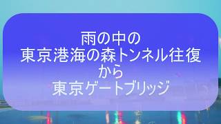 車載動画 雨の中の東京港海の森トンネル往復から東京ゲートブリッジ