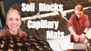 My FAVORITE SEED STARTING Set-Up | SOIL BLOCKS with CAPILLARY Mats