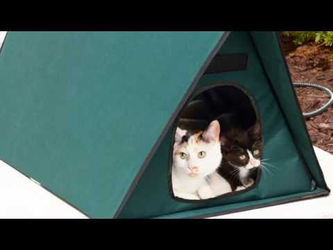 Heated Outdoor Cat House For Multiple Cats Heated Outdoor Cat House For Multiple Cats