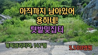 [매물번호200] 밀양시 상남면 조음리, 전망좋은 텃밭 및 집터 #밀양부동산매매 #밀양토지매매 #밀양땅매매 #밀양부동산 #밀양주말텃밭 #밀양전원주택지 #밀양상남면토지 #밀양상남면