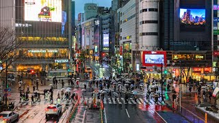 4K 渋谷｜春の嵐のような雨の中のさんぽ