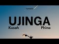 Ujinga Kusah ft Phina - Official lyrics video by TunesTz