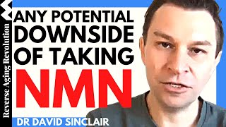 Any Potential DOWNSIDE  Of Taking NMN? | Dr David Sinclair Interview Clips