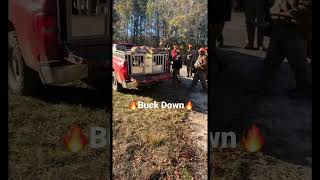 SC Deer Hunting W/Dogs (Big Buck Down)