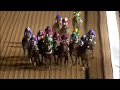 【競馬】サウジカップ 2025 ⑤フォーエバーヤング