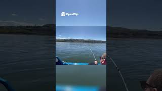 Incredible Fishing Moments  Epic Catch Near Our Boat!! #shorts #fishing #sturgeon #sturgeonfishing