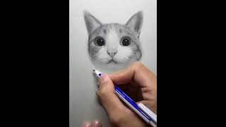 Cat Drawing Skills | Satisfied Life Pencil