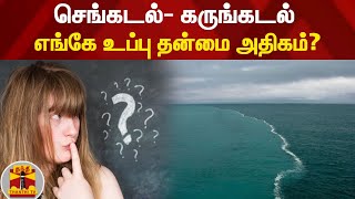 செங்கடல்- கருங்கடல் - எங்கே உப்பு தன்மை அதிகம்? | Red Sea | Black Sea | ThanthiTV