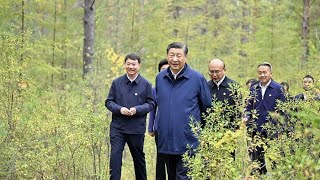 President Xi urges Heilongjiang to focus on high-quality development