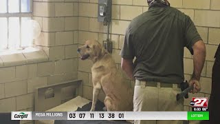 Pa. Dept. of Corrections to implement 45 new bodycams