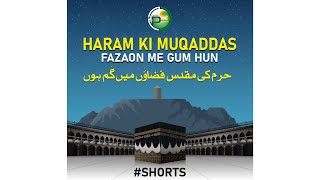 Jannat Ki Hawaen - Atiq Ur Rehman - Mufti Taqi Usmani - Peace Studio Shorts #shorts