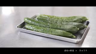 香川の野菜　「きゅうり」編　#香川の野菜　#農業　#レシピ