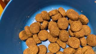 Acana and Gain Puppy Food Review