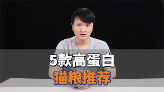 5款“高蛋白”猫粮推荐，长肉必备！