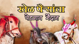 खेळ पैऱ्यांचा पेडगाव मैदान बकासुर लखन कॉकटेल लक्षा #bakasur #bailgadasharyatlivetoday #bailgada