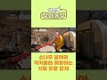 역전의부자농부 296회 소나무 응애와 깍지벌레 예방하는 석회 유황 합제