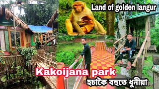 Kakoijana New Park  Beautiful place | The Land of golden Langur | Bongaigaon Assam