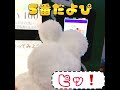 【ぬいぐるみ好き】パン屋さん閉まっててショック‼︎よぴチャンが見つけたパンの自販機は？