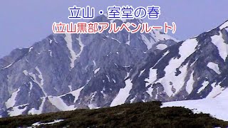 立山・室堂の春(立山黒部アルペンルート)