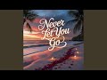 Never Let You Go