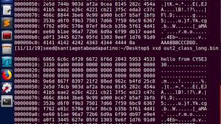 Seed Labs: MD5 Collision Attack