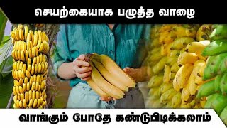 Artificially ripened bananas can be found at the time of purchase Banana | Organic | Artificially ripe banana