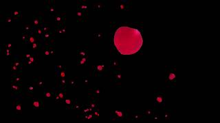 Falling Red Rose Petals Valentine's Day Black Background 4K | 1 Hour Overlay Study Sleep Ambience