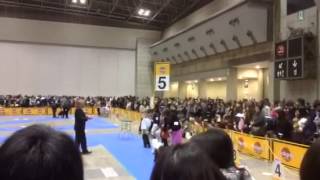 FCI 東京インター 2013  ①