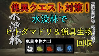 【モンハンライズ：サンブレイク】傀異クエスト対策！水没林でヒトダマドリ＆猟具生物回収。