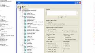 14. Exporting Data from CS-Pro for Analysis
