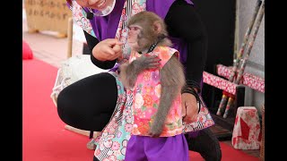 あいちゃん🐵の手話が、めっちゃ可愛い💖　二助企画