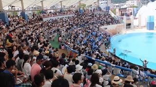 【イルカ・ライブ（須磨海浜水族園）2016】8/11（木）②-2 ペンギン→ドルフィン・コースト→イルカ・ライブ