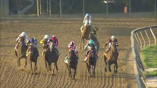 Pimlico 5 21 2022 Race 13 147th PREAKNESS STAKES