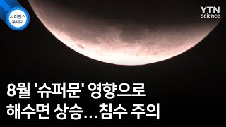 8월 '슈퍼문' 영향으로 해수면 상승...침수 주의 / YTN 사이언스