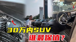 30万内紧凑型SUV，谁最保值？！【李老鼠说车】