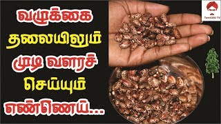 #Hair வழுக்கை தலையிலும் முடி வளரச் செய்யும் எண்ணெய் || How to Regrow Hair on Bald head in Tamil