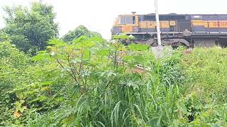 Train Number 06587 Yesvantpur-Murudeshwara Special train accelarating after departing Kabaka Puttur!